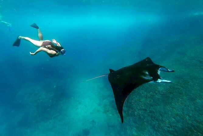 Nusa Penida Snorkeling 3 Point with Manta Bay & Land Tour - Fast boat to Nusa Penida: crowded boats and choppy reality
