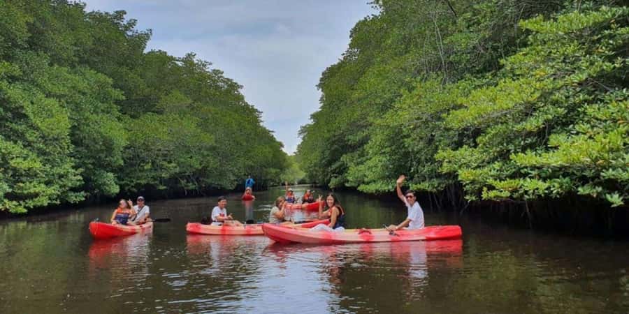 Nusa Penida: Snorkeling 3 Spots with GoPro & Kayak Mangroves - The mangrove kayak at Mangrove Point: what changes once you get off the boat