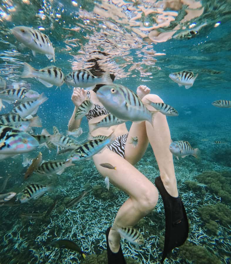 Nusa Penida: Snorkeling 3 Spots with GoPro & West Land Tour - Why this Nusa Penida GoPro tour is a strong value for a long day