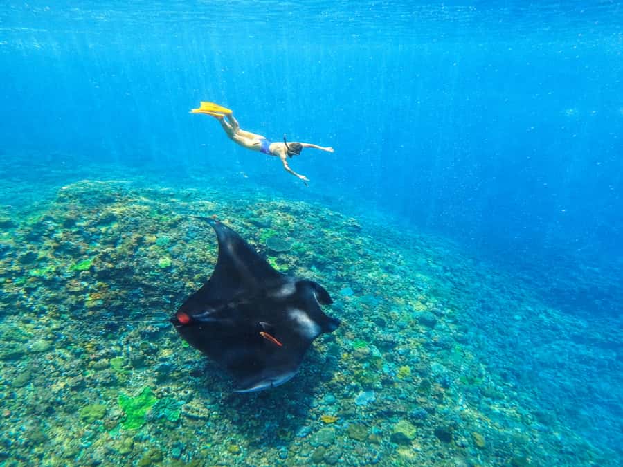 Nusa Penida: Snorkeling 3 Spots with GoPro & West Land Tour - Nusa Penida in One Day: How the snorkeling morning turns into west-coast viewpoints