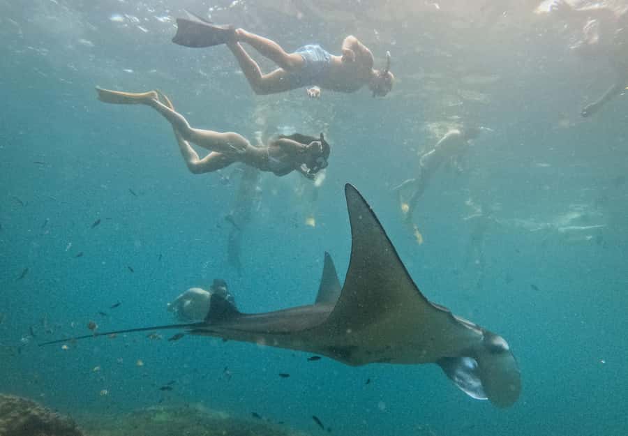Nusa Penida: Snorkeling 3 Spots with GoPro & West Land Tour - The reef circuit: Manta Bay, Gamat Bay, The Wall, Crystal Bay, and SD Point