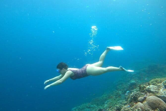 Nusa Penida Snorkeling in Manta Point Gamat Bay and Wall - The Big Idea: Three Stops, One Solid Morning