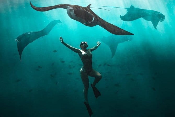 Nusa Penida Snorkeling in Manta Point Gamat Bay and Wall - Timing and Energy: 2 Hours 15 Minutes Isn’t Long, But It Moves