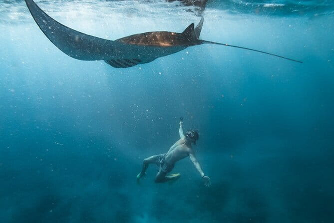 Nusa Penida Snorkeling in Manta Point Gamat Bay and Wall - Solo, Couples, and Families: Who This Tour Fits Best