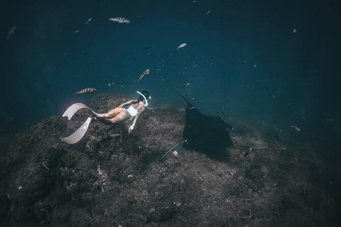 Nusa Penida Snorkeling in Manta Point Gamat Bay and Wall - Price and Value: Paying for an Experience, Not Just a Spot