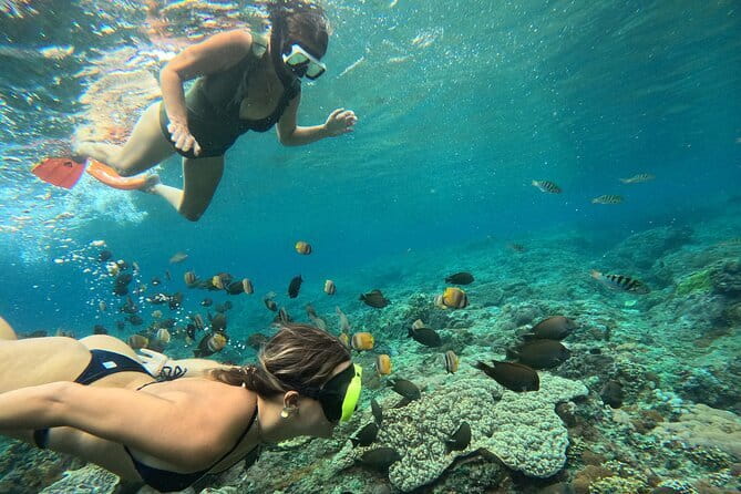 Nusa Penida : Snorkeling Trip Manta Point, Gamat Bay and Wall Bay - Toyapakeh Morning Plan: how this trip runs in real life