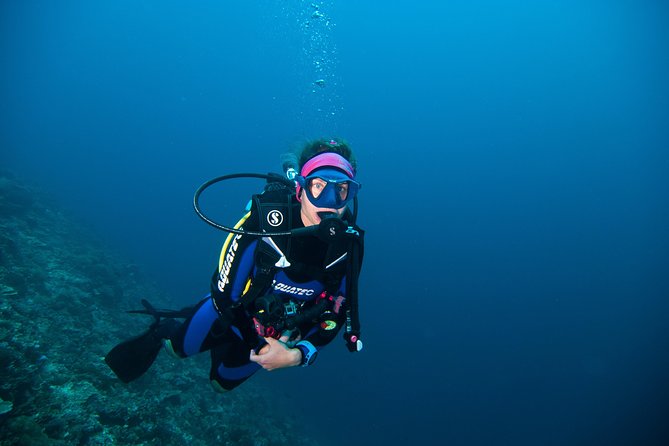 Nusa Penida Three Dives Trip for Certified Divers - Should You Book Pure Dive Resort’s Three-Session Trip?