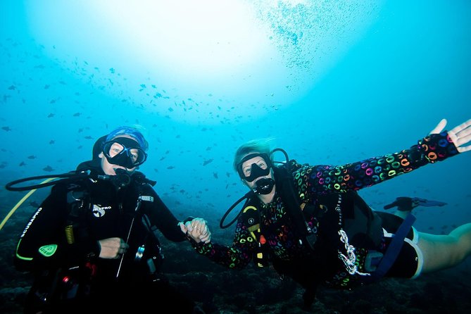 Nusa Penida Try Scuba Diving Program - for Non-Certified Divers - Key highlights at a glance