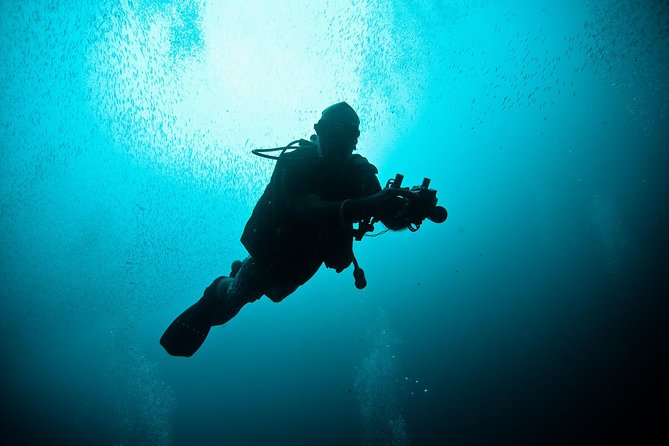 Nusa Penida Two Dives Trip for Certified Divers - Key things that make this trip work