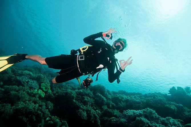 Nusa Penida Two Dives Trip for Certified Divers - Nusa Penida’s manta focus: why Manta Point matters