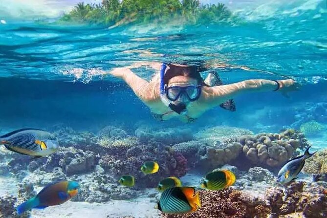 Nusa Penida West trip with snorkeling at 3 spot with Free Meals - Key highlights to look forward to
