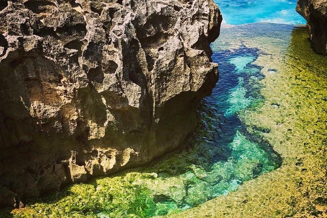 Nusa Penida West trip with snorkeling at 3 spot with Free Meals - Sanur fast-boat day: how you save time for Nusa Penida West