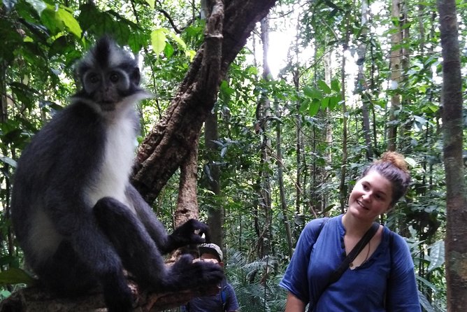 ONE DAY JUNGLE TREKKING 6-7 hours (see orang utan) + RAFTING in BUKIT LAWANG - Price and Value in Bukit Lawang: Is $90.70 Worth It?