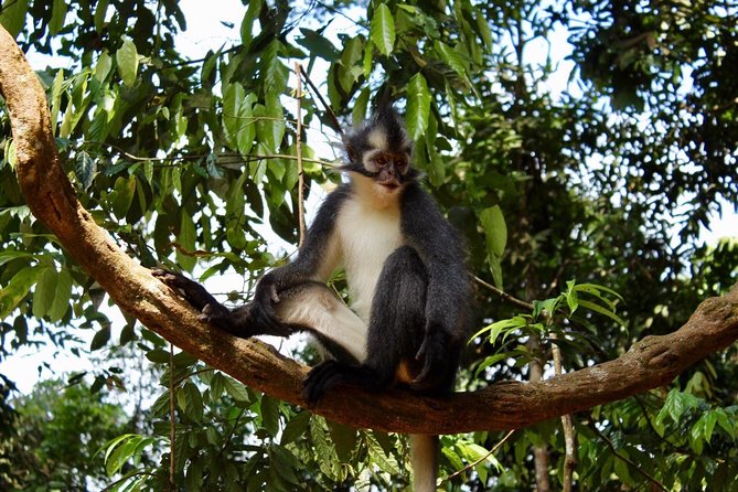 ONE DAY JUNGLE TREKKING 6-7 hours (see orang utan) + RAFTING in BUKIT LAWANG - Packing the Essentials: Use the List the Tour Gives You
