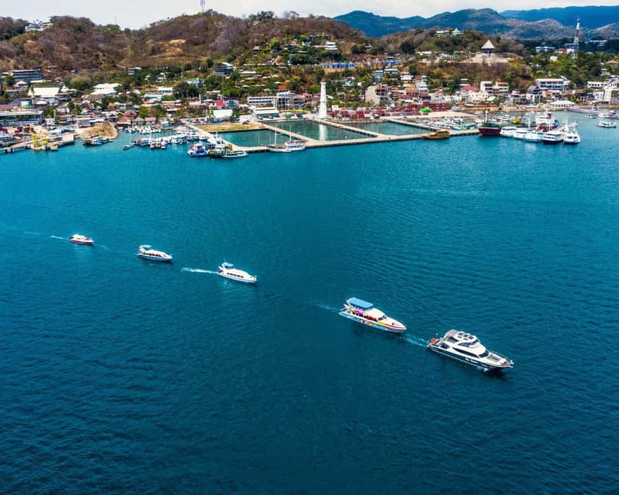 One-Day Komodo Tour By Speedboat - Komodo Island area: tracking time and the dragon encounter mindset