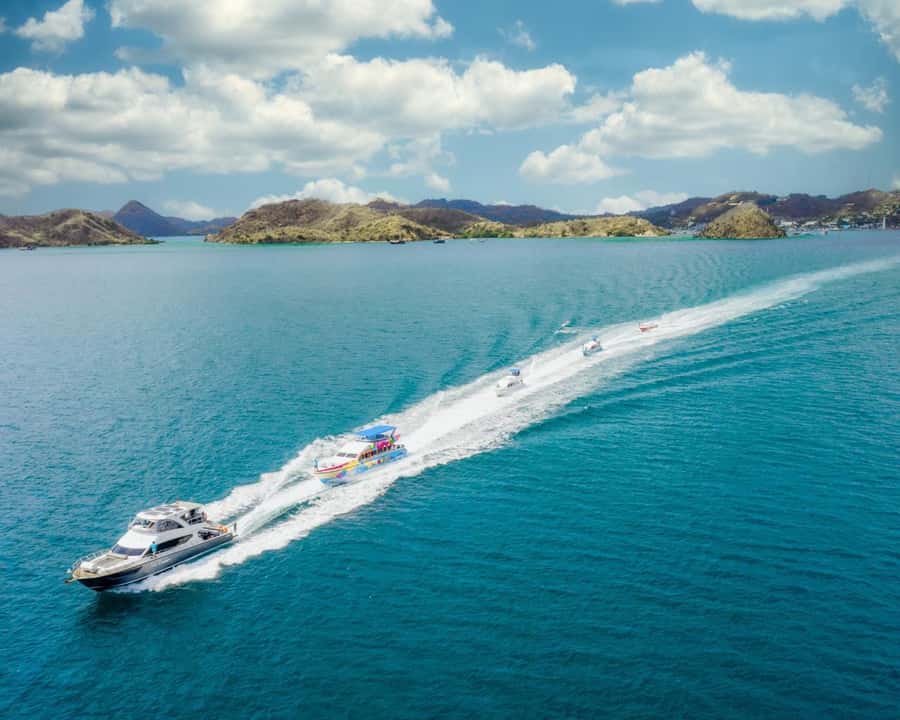 One-Day Komodo Tour By Speedboat - Lunch on Komodo Island: fueled, not fussy