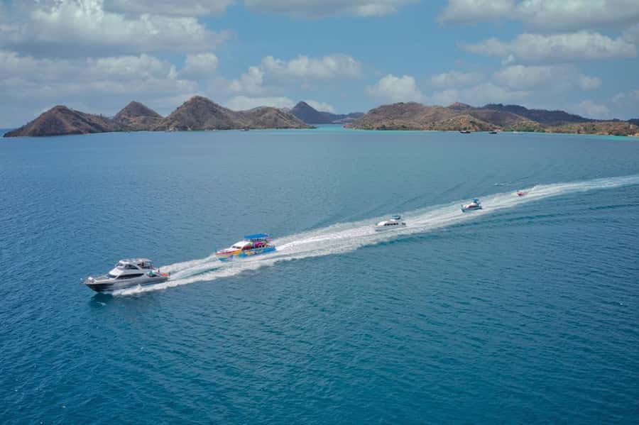 One-Day Komodo Tour By Speedboat - Taka Makasar and a manta-rincentive plan for photos