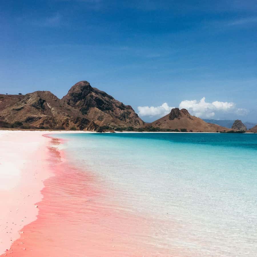 One-Day Komodo Tour By Speedboat - Kanawa Island: photos, a walk, and water time at the end