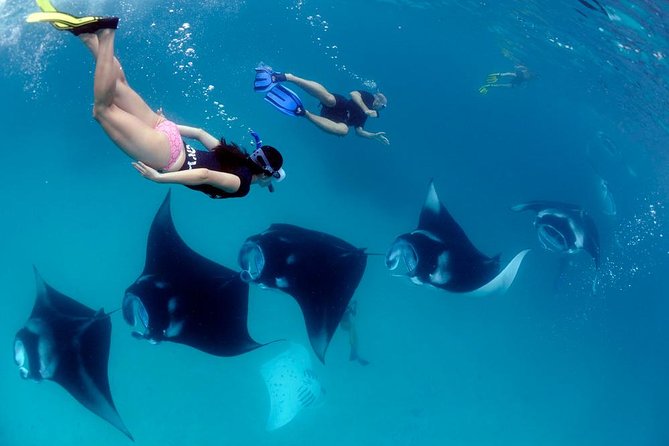 One Day Snorkeling Trip & West Tour Nusa Penida by Penidago - Key things that make this tour work