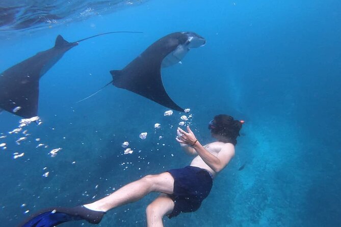 One Day Snorkeling Trip & West Tour Nusa Penida by Penidago - What snorkeling feels like at these Penida spots