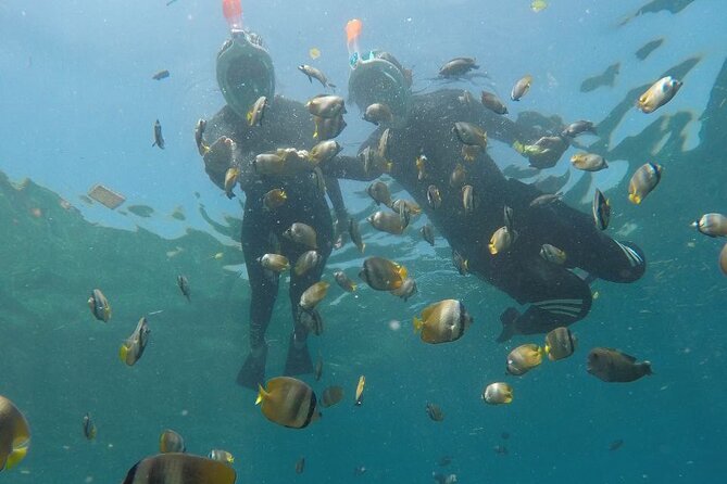 One Day Snorkeling Trip & West Tour Nusa Penida by Penidago - Kelingking Beach: The Cliff View Break