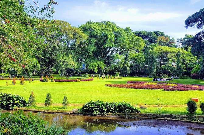 One Day Trip : Bogor Highland Waterfall Tour With Lunch - Tea Hills First: Agrowisata Gunung Mas and Kebun Teh Walini