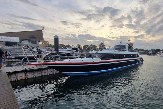 One-way Ticket Fast Boat from Sanur Bali or Nusa Penida - Angel Billabong vs El Rey: Picking the Departure That Saves Your Day
