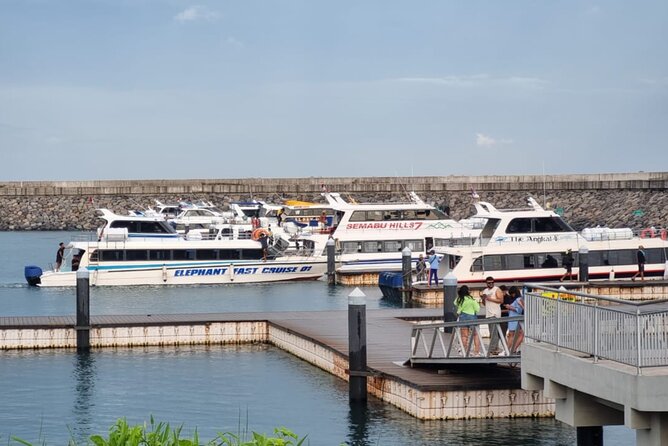 One-way Ticket Fast Boat from Sanur Bali or Nusa Penida - Price and Value: Why $12.22 Can Be a Great Deal