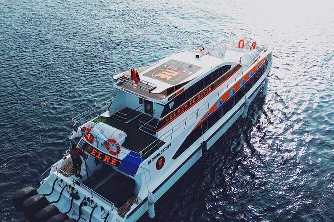 One-way Ticket Fast Boat from Sanur Bali or Nusa Penida - Sanur Harbor to Banjar Nyuh: What to Expect On Arrival