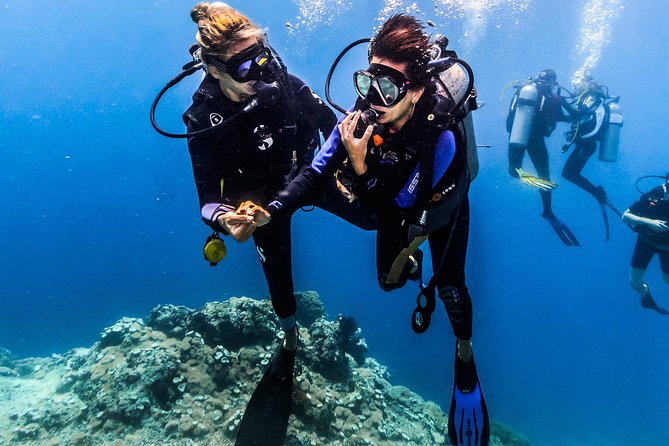 Open Water Course in Nusa Lembongan - Get Certified on remote island (next Bali) - Manta-Ray Goals, Turtles, and the Stuff You Actually Remember