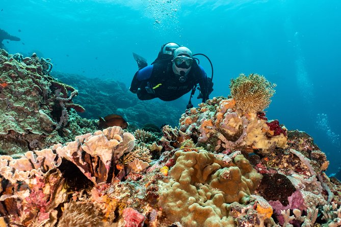 Open Water Course in Pemuteran - Get Certified in Bali - What you get at the end: SSI card plus online certification access