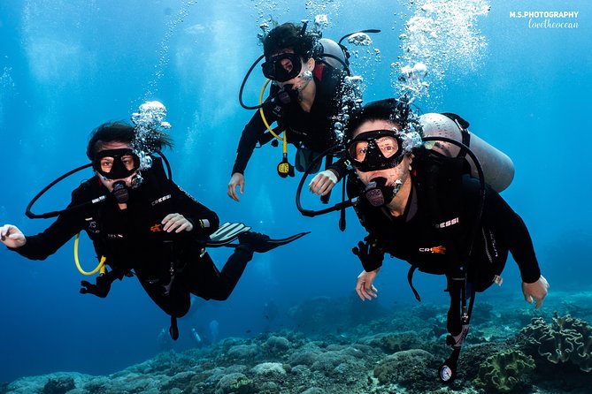 Open Water Course in Pemuteran - Get Certified in Bali - Pemuteran training days: four ocean sessions that match a beginner plan