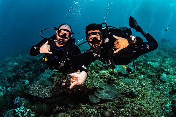Open Water Course in Tulamben - Get Certified in Bali - Tulamben Beach sessions: coral gardens plus technique practice