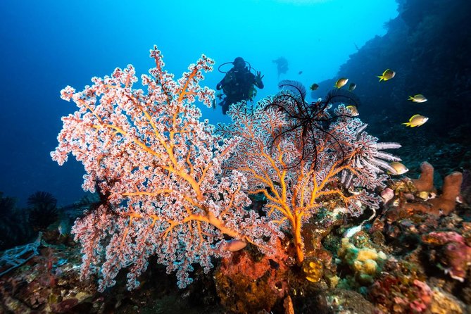 Open Water Course in Tulamben - Get Certified in Bali - What to expect from the overall SSI course structure