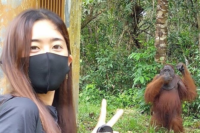 Orangutan Tour Tanjung Puting 2Nights - Key points I think you’ll care about