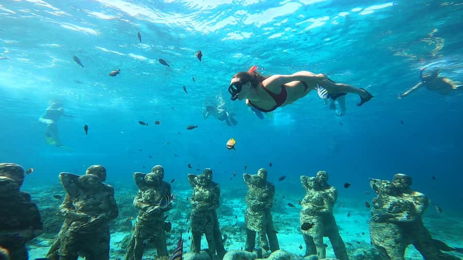 Ozzy Snorkeling 3 Islands Visit Baby Turtles - Key things to know before you go