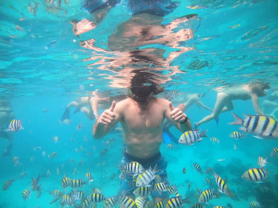 Ozzy Snorkeling 3 Islands Visit Baby Turtles - Lunch break and schedule reality: plan to buy your own food