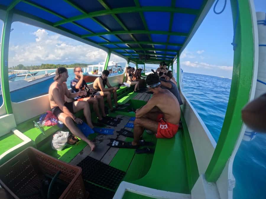 Ozzy Snorkeling 3 Islands Visit Baby Turtles - Meeting Ozzy Snorkeling Center: the day-of logistics that matter