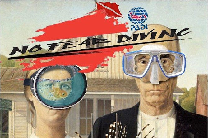 Padi Discover Scuba Diving In Amed Bali - Two Open-Water Sessions in Amed: What You’ll Actually See