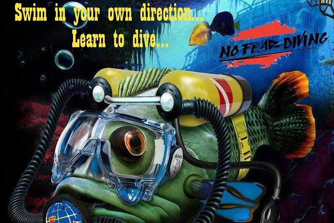 Padi Discover Scuba Diving In Amed Bali - Who This Is Best For (and Who Should Think Twice)