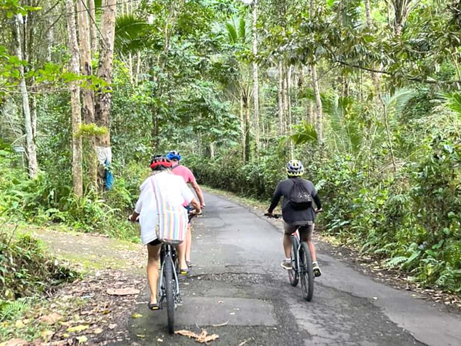 Pedal Through Paradise: Bali Wanderlust Sidemen Cycling Tour - The Start in Sidemen: Meeting Point, Safety Talk, Then Off Into Real Village Life