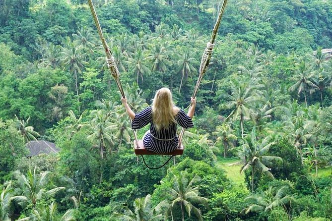 Penglipuran Traditional Village Tour with Swing, Rice Terrace, and Temple - The 20-Meter Swing Over Jungle or Rice: A Real Activity Stop