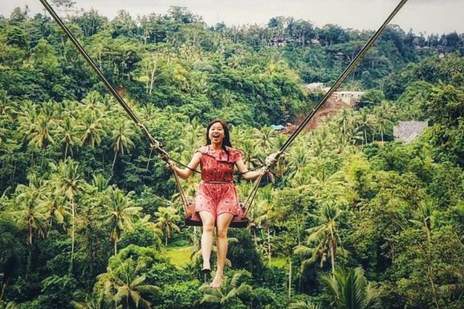 Penglipuran Traditional Village Tour with Swing, Rice Terrace, and Temple - Art and Handicraft Village Stops: See How Making Works