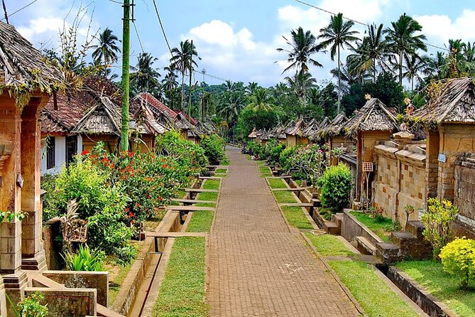 Penglipuran Traditional Village Tour with Swing, Rice Terrace, and Temple - Tegalalang Rice Terrace: Get Your Photos, Then Look Closer