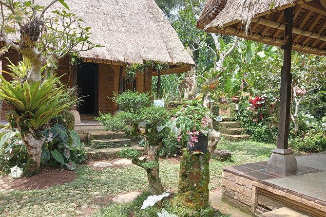 Penglipuran Village Waterfall Swing Private Guided Tour - Price and value: what you get for about $29