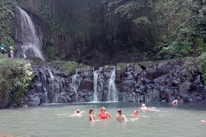 Penglipuran Village Waterfall Swing Private Guided Tour - The real win: door-to-door pickup and a calm, in-control guide