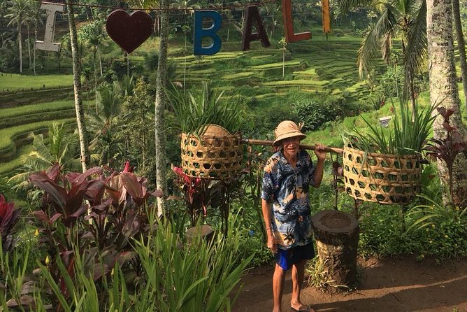 Point View of Kintamani Vulcano and Ubud Tour - The Full Schedule, Stop by Stop (and What to Watch For)