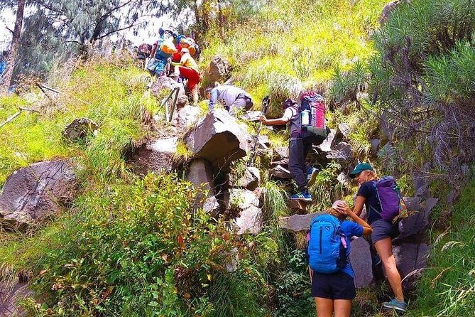Popular Rinjani Trekking Tour Service To Summit For 2 Days Via Sembalun Trail - Camp setup and included trekking gear