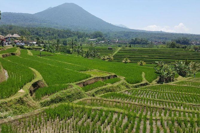 Private 4-Day Tours - Best Bali Tours Package - Best of Bali Highlights - Day 3 east Bali: Lempuyang Gateway to Heaven, Tirta Gangga, Virgin Beach, and Tenganan