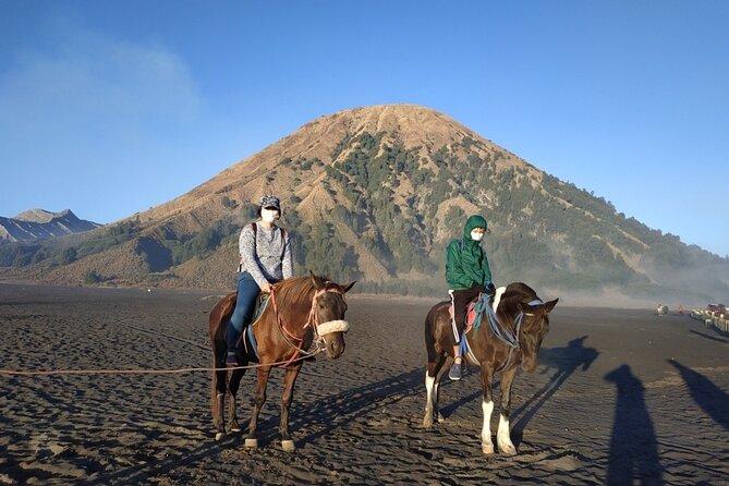 Private Adventure King Kong Hill Bromo National Park in Malang - King Kong Hill at dawn: Bukit King Kong / Kedaluh Hill views